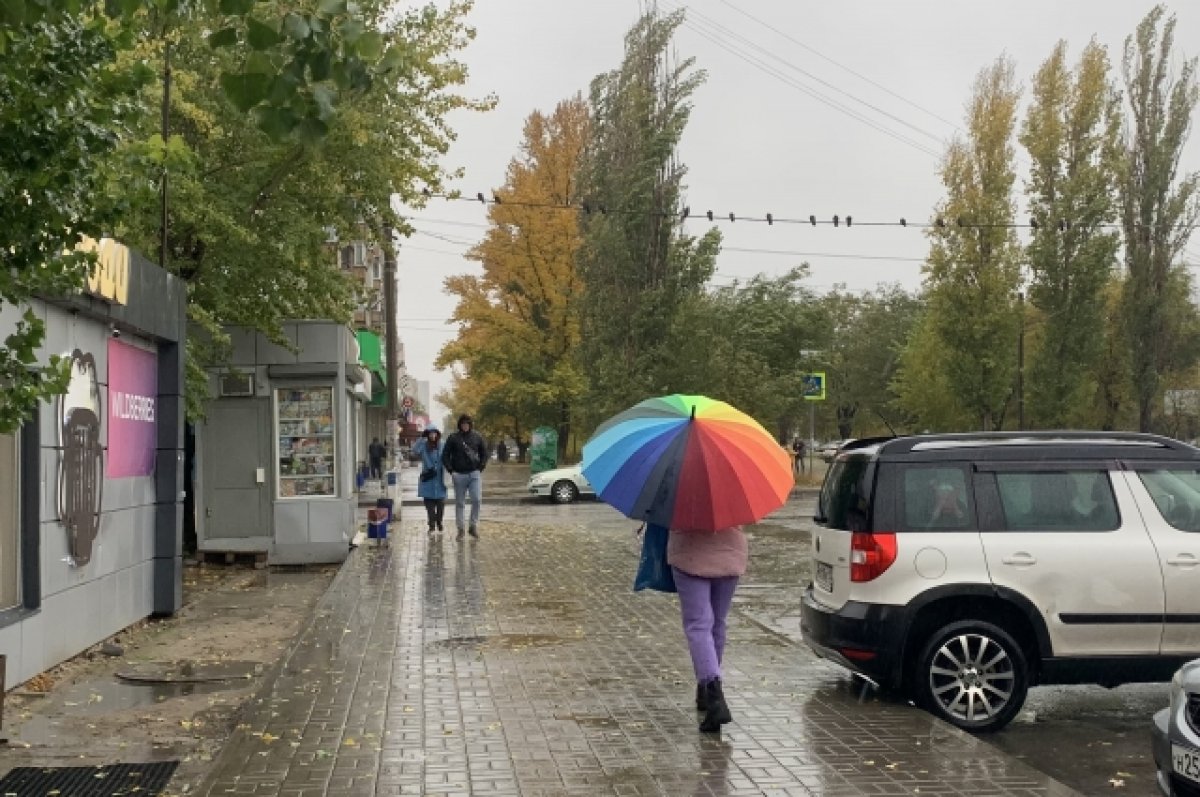 В четверг в Смоленске прогнозируют дождь | АиФ Смоленск