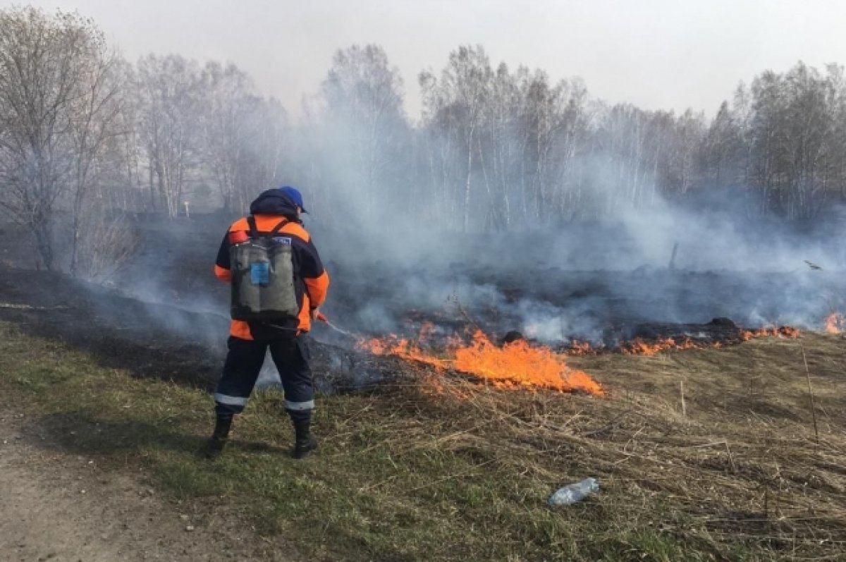 Чс из за пожаров. Пал травы Красноярск. Пожар травы. ЧС В Красноярском крае. Поджог травы.