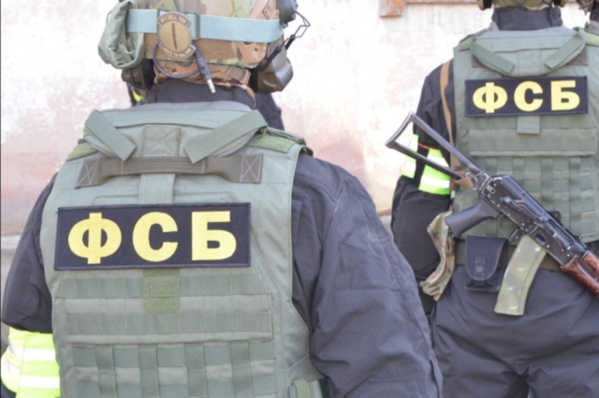 В Крыму задержаны 12 функционеров неонацистской группировки Белая Масть