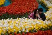 Фестиваль тюльпанов в Южной Корее3