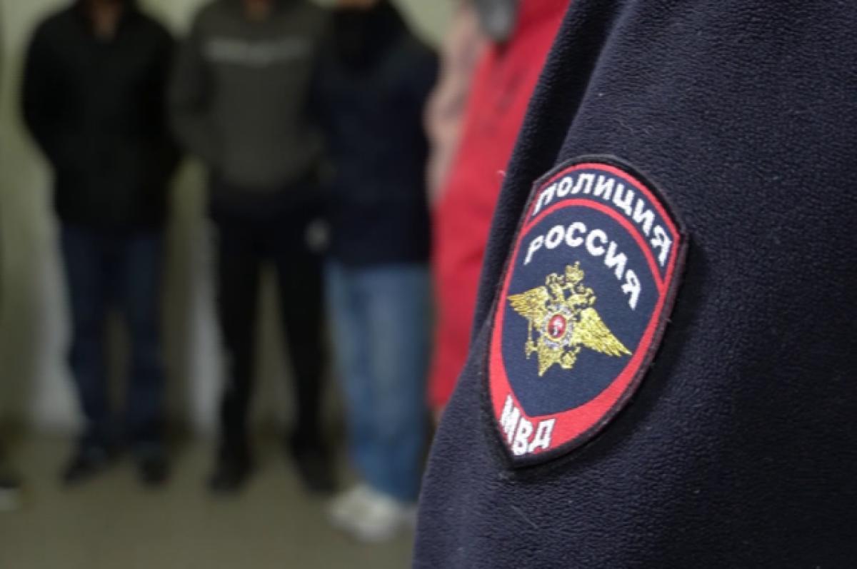 Двое мужчин в Калужской области избили девятилетнего мальчика и собаку