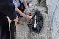 скриншот с видео