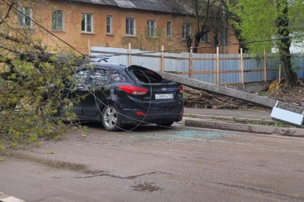 В Калуге на машину упали дерево и столб | АиФ Калуга