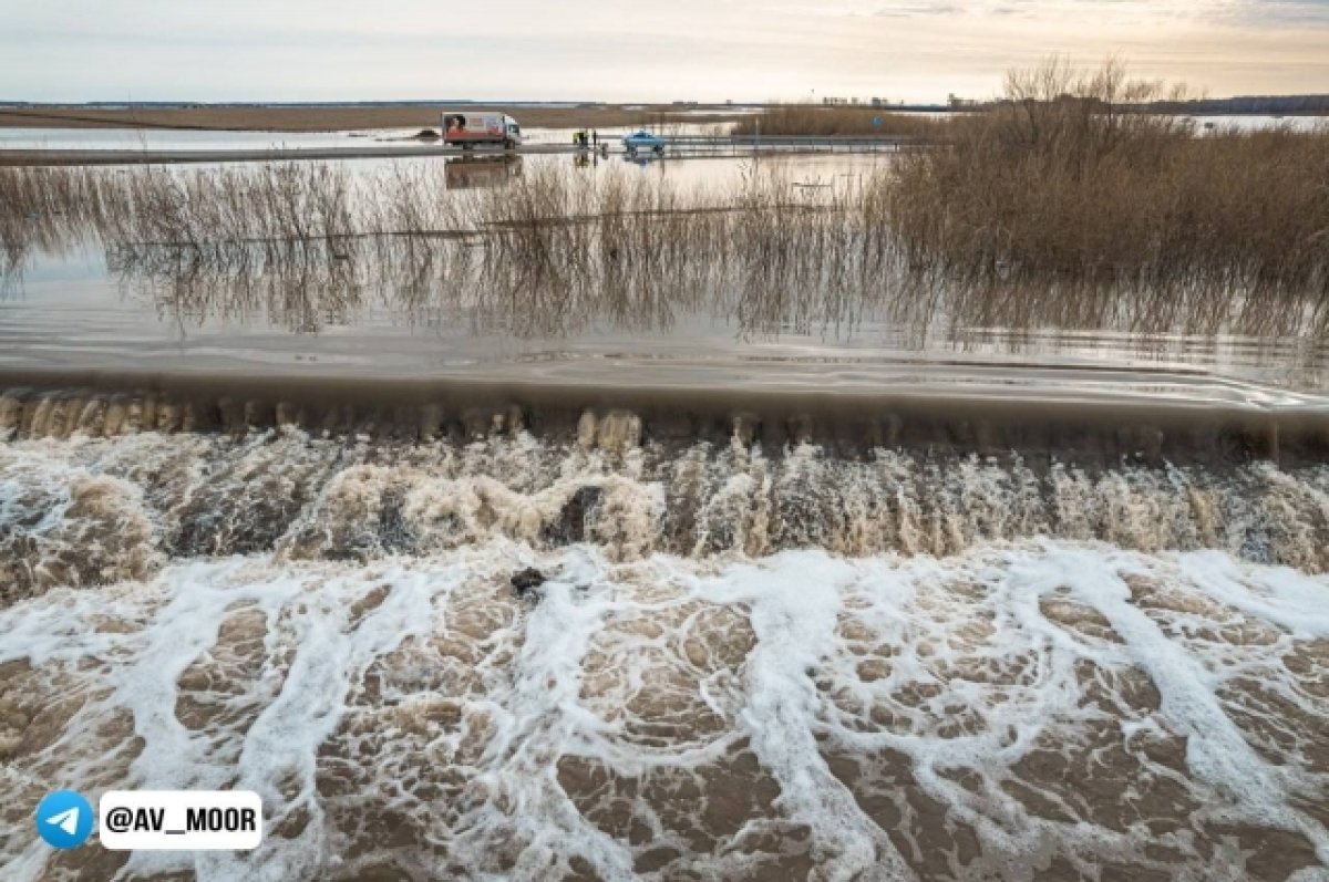 В реке Ишим за сутки вода поднялась более чем на 3 метра | АиФ Тюмень