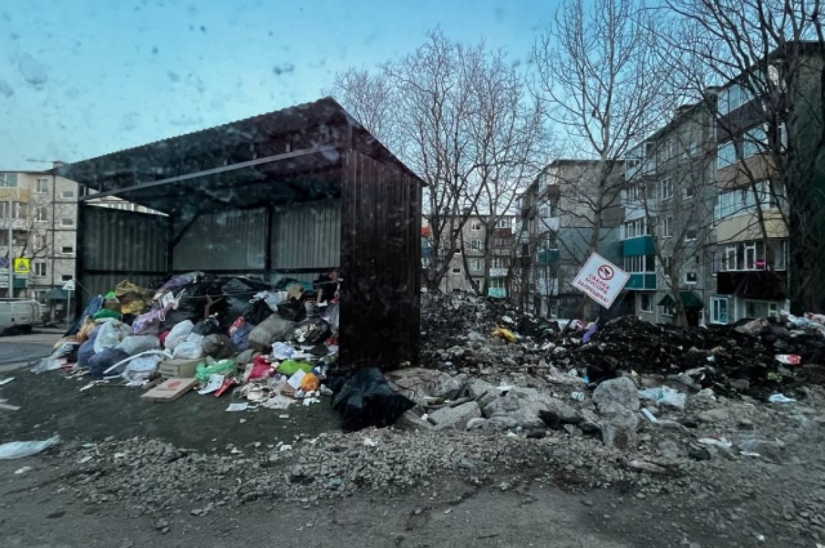 Жители столицы Камчатки пожаловались на мусорную свалку во дворе | АиФ  Камчатка