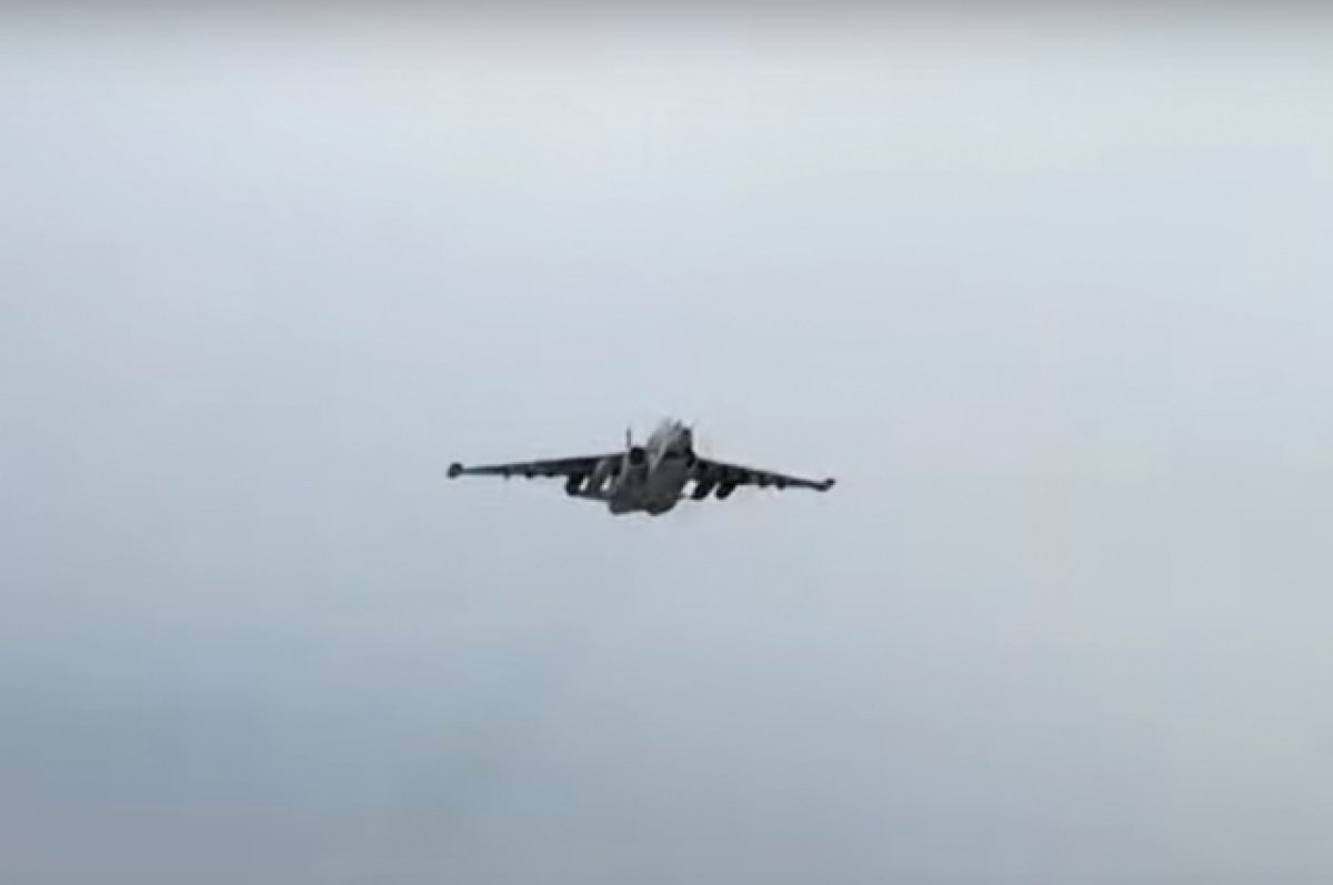 Минобороны: силы ПВО сбили в зоне СВО украинский Су-25