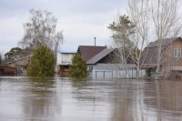 В Оренбурге проведут всеобщую дезинфекцию после паводка.