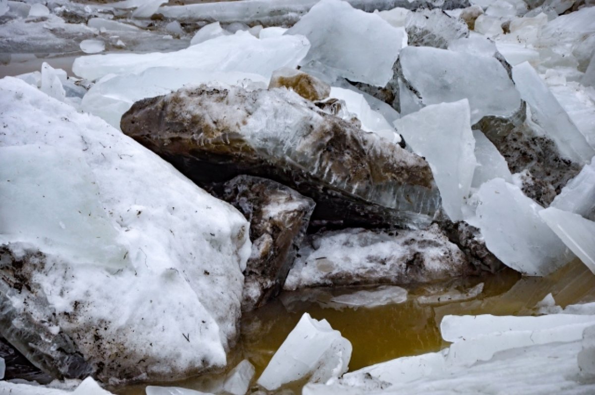 Из-за ледового затора в Томской области уровень воды в Оби вырос на 107 см