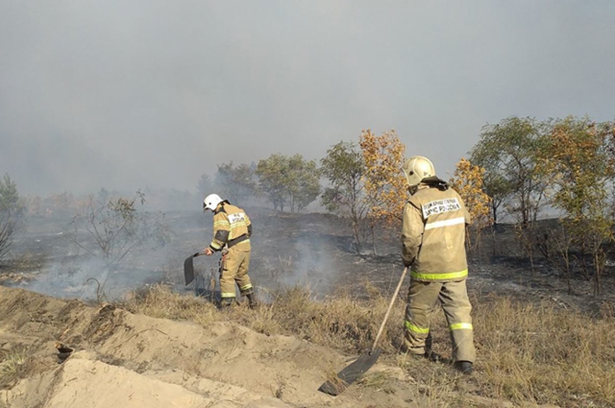 Крупный ландшафтный пожар потушили в Новочеркасске 21 апреля