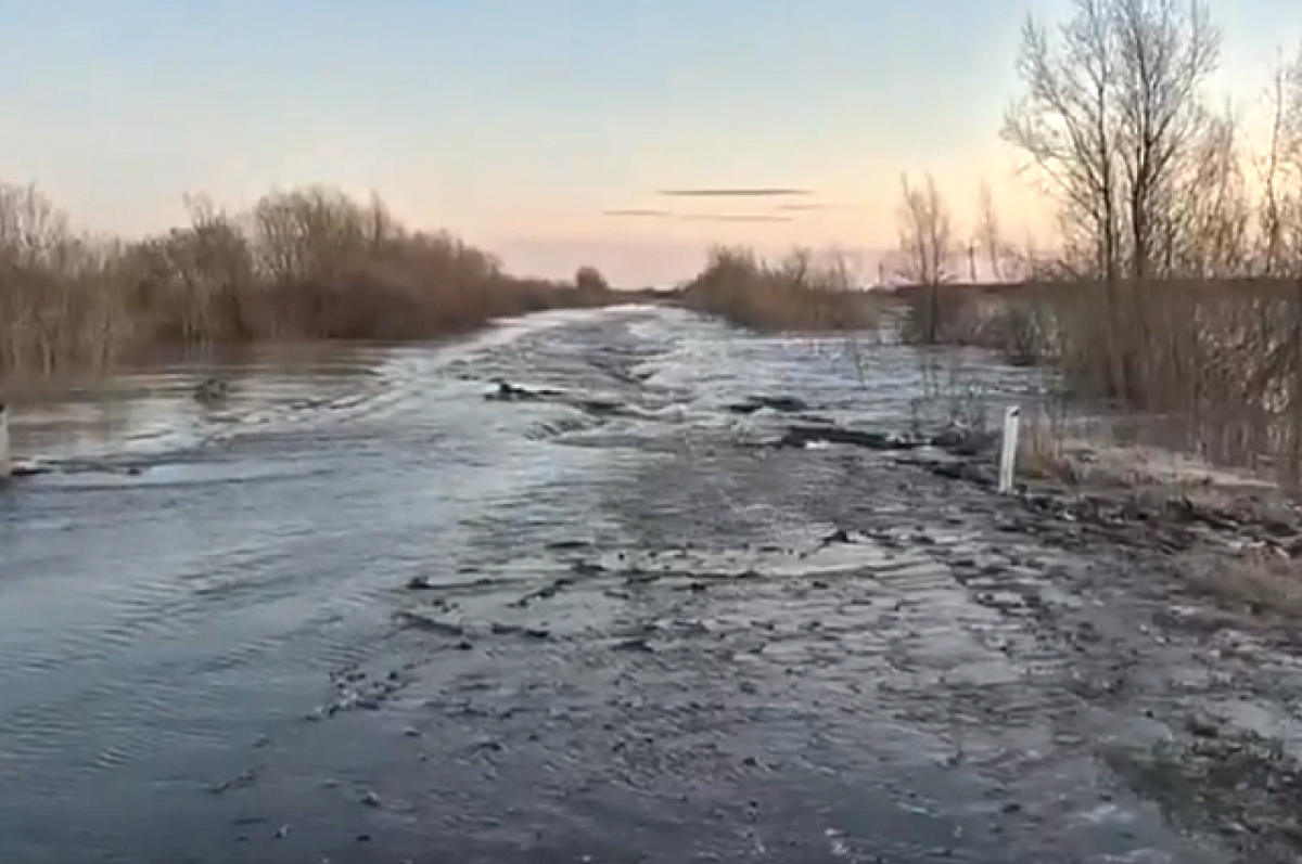 В Абатский район пришел паводок | АиФ Тюмень