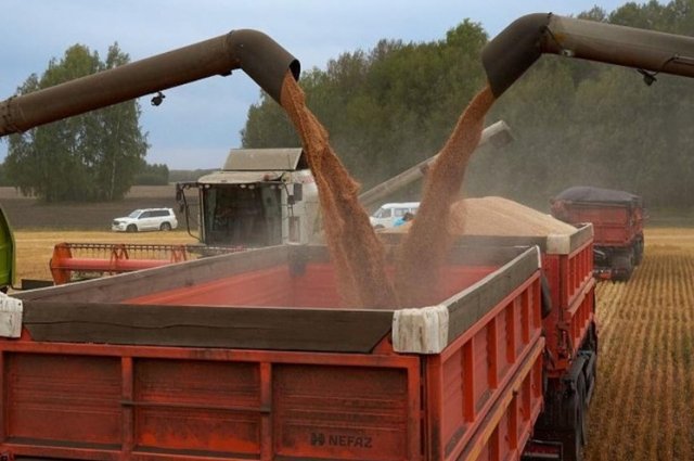 Россия в первом квартале поставила в Китай зерно на рекордные $125 млн0