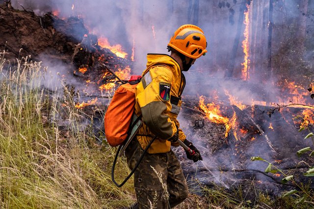 В этом году для ликвидации огня в лесах планируется задействовать 27 тыс. лесных пожарных.