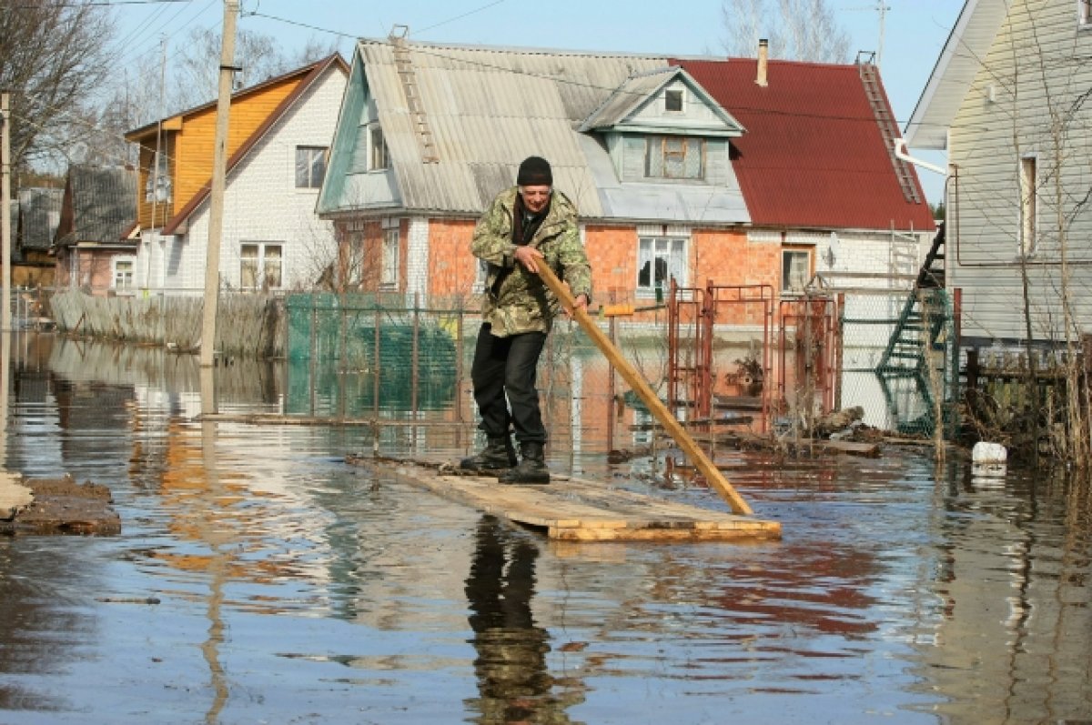 Обь может затопить СНТ в Первомайском районе Новосибирска | АиФ Новосибирск