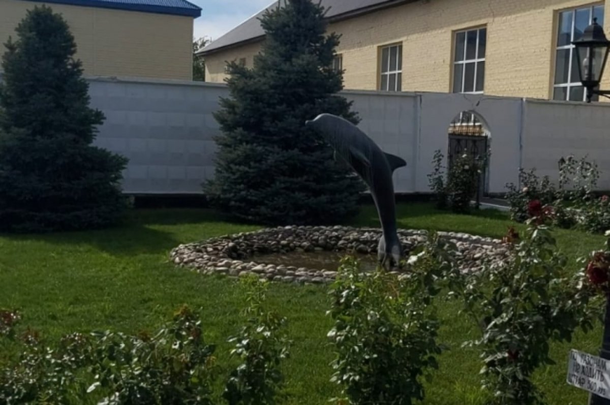 ФСИН отправила комиссию в Черный дельфин для проверки жалоб на избиения