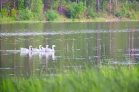 Прекрасный отдых на природе гарантирован. На фото - усадьба в с. Александровское «Имение Благодатное»