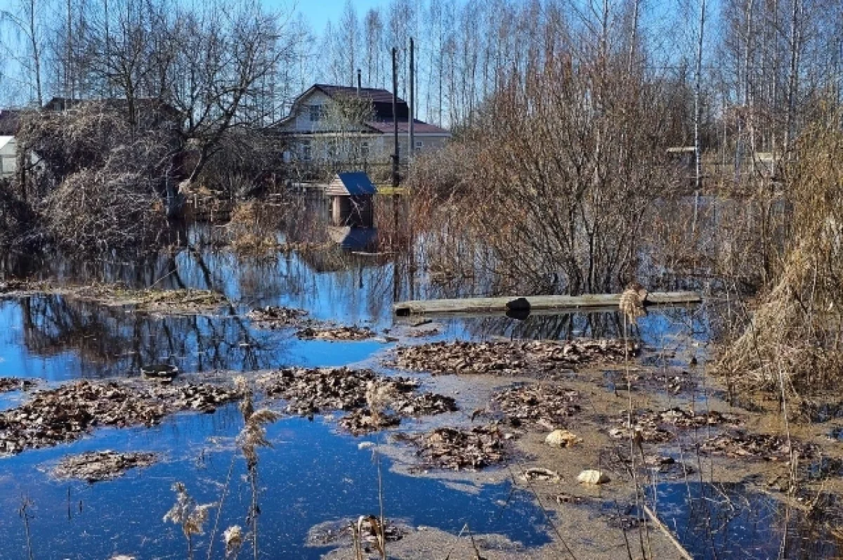 На озере Селигер в Тверской области снова вырастет уровень воды | АиФ Тверь