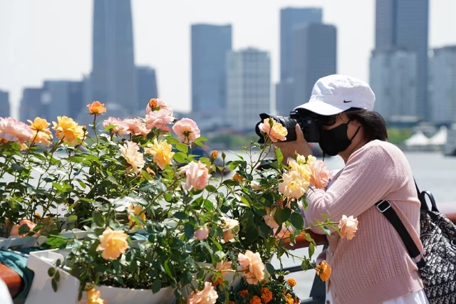Международная выставка цветов в Шанхае