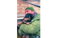 10 собак оренбургский диджей спас во время паводка