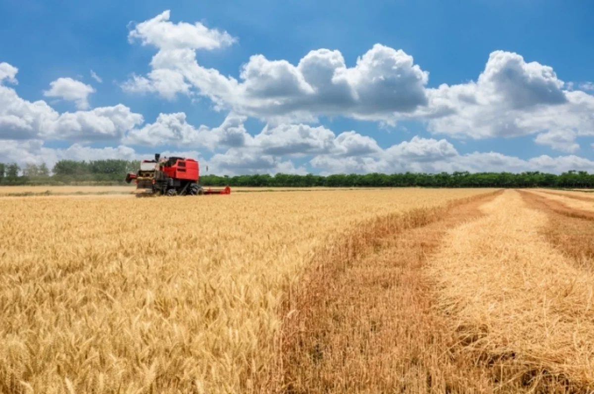 Доцент Зубец: сельхозпродукты РФ доступны на мировом рынке вопреки санкциям