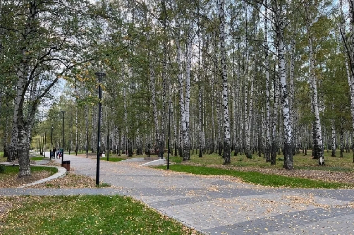Ярославцы пожаловались на благоустройство парка в Дзержинском районе