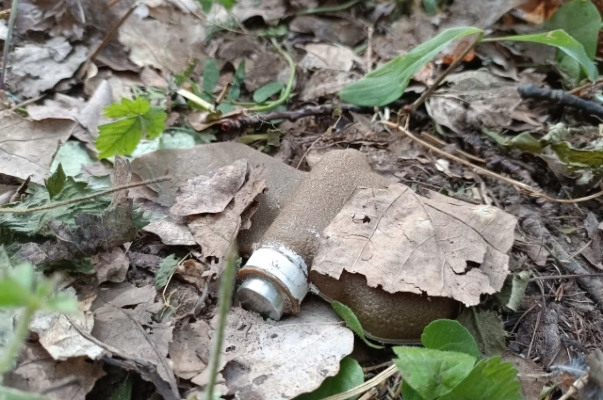 В Ростовской области женщина обнаружила 68 минометных мин в сарае