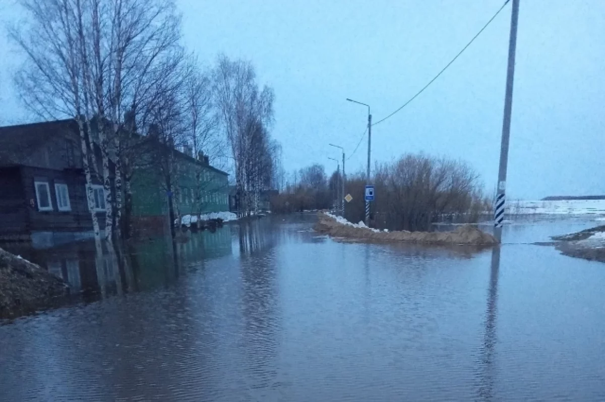 В Архангельской области началось подтопление села Холмогоры | АиФ  Архангельск