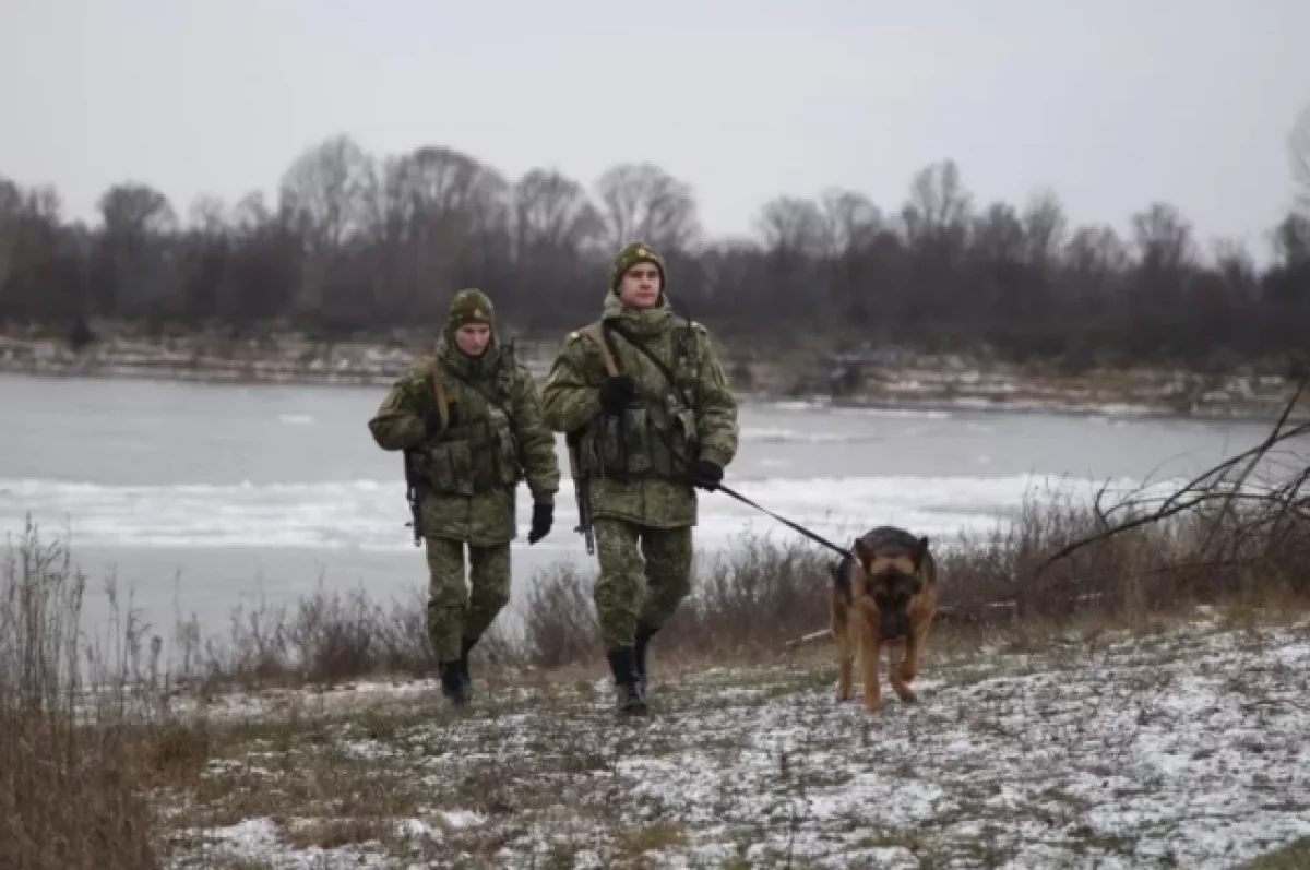 Белорусские пограничники нашли труп беженки на границе с Латвией