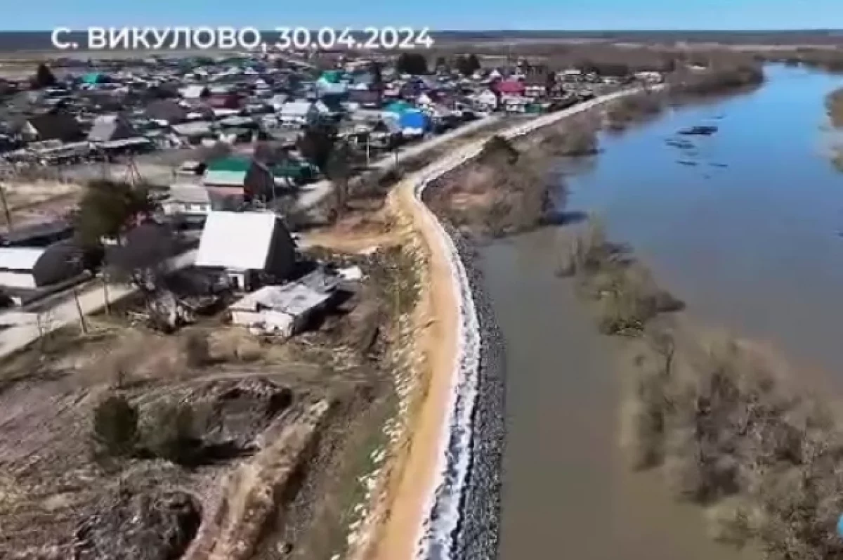 Большая вода подходит к тюменскому селу Викулово | АиФ Тюмень