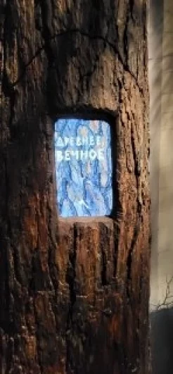 Инсталляция в форме стволов деревьев с интерактивными окнами, в которых посетители могут увидеть фрагменты мини-рассказов «Затеси».