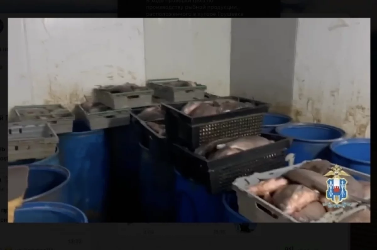 В Ростовской области изъяли 4375 кг незаконной рыбы из цеха
