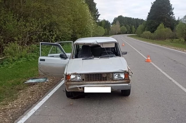 39-летний водитель автомобиля ВАЗ – 21054 сбил лося