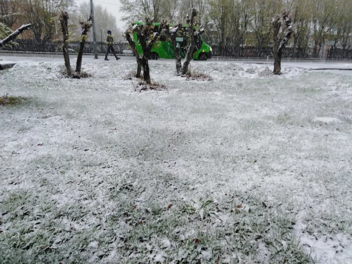Снег в парке на зеленой траве. Снегопад в Тюмени 3 мая 2024 года.