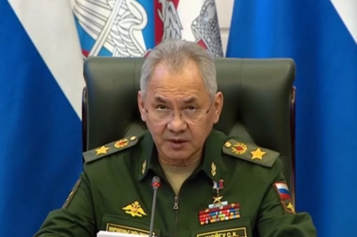 Шойгу: российские военные успешно работают на красноармейском направлении