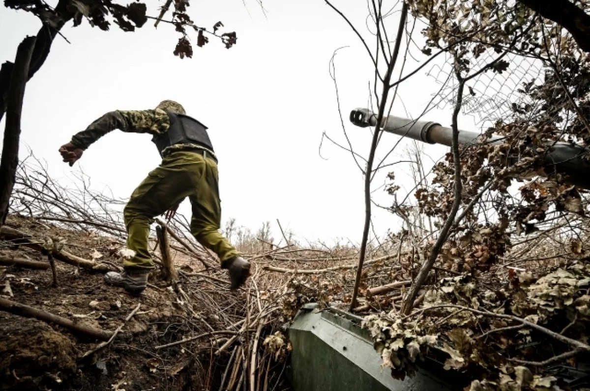 Артиллерия разогнала по лесу солдат ВСУ, уцелевших после удара гаубицы Д-300