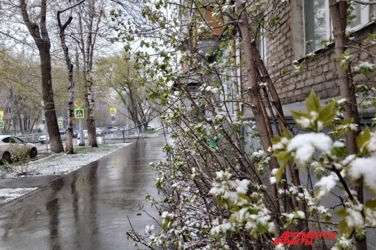 В Нижнем Новгороде снова идет снег | АиФ Нижний Новгород