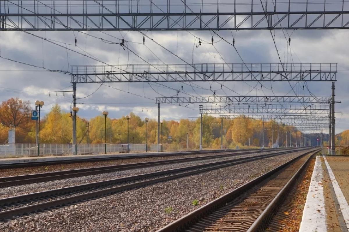 Погрузка на железной дороге в Брянской области увеличилась