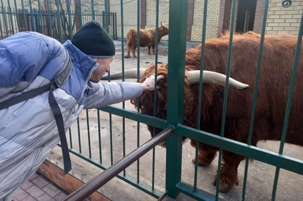 Нижегородские семьи смогут сходить в зоопарк «Лимпопо» по сниженной цене |  АиФ Нижний Новгород