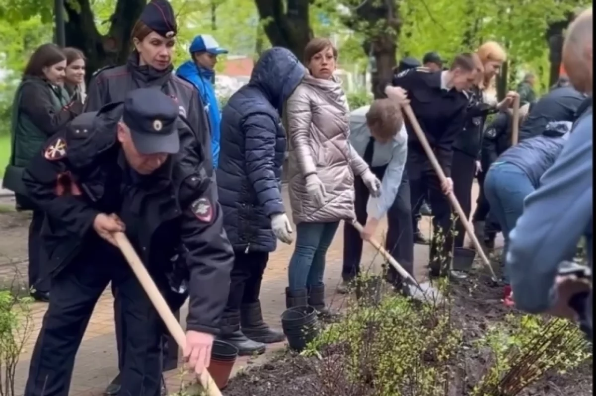 В Калуге ко Дню Победы посадили более 150 деревьев | АиФ Калуга