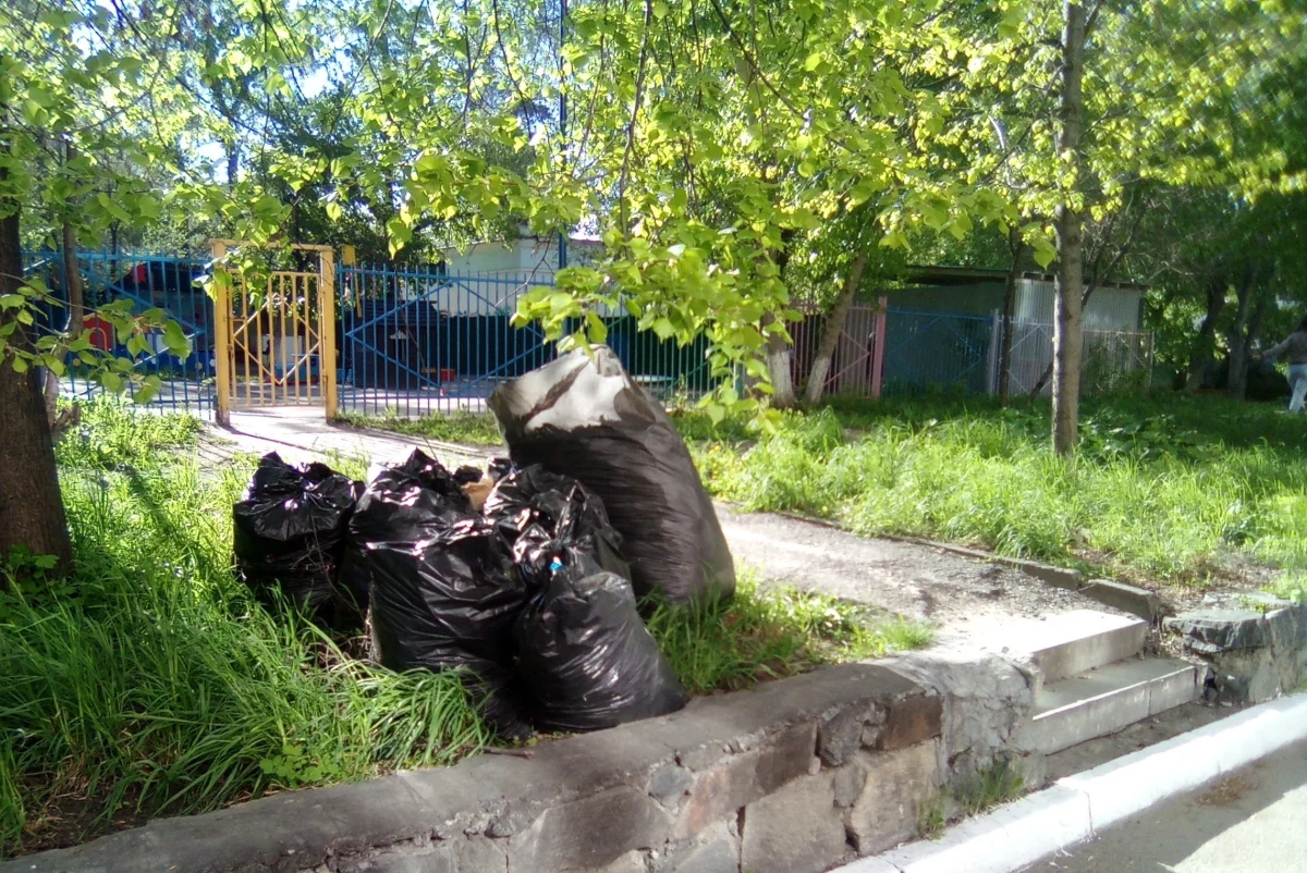 Не все управляющие компании подали заявки на вывоз мешков с листвой в ЦКС |  АиФ Челябинск