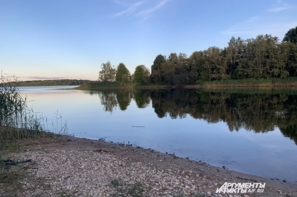 Жительница Пермского края сняла вблизи плывший по реке Бабке гроб | АиФ  Пермь