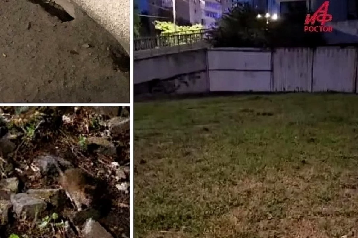 Множество крыс заметили ростовчане в центре города на набережной