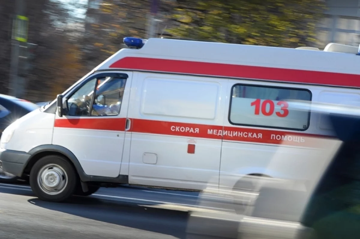 В Тверской области девочка попала в больницу после нападения алабая