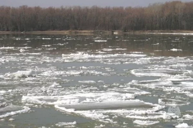 По состоянию на 13 мая уровень воды в реке Обь в границах города составляет 880 сантиметров. 