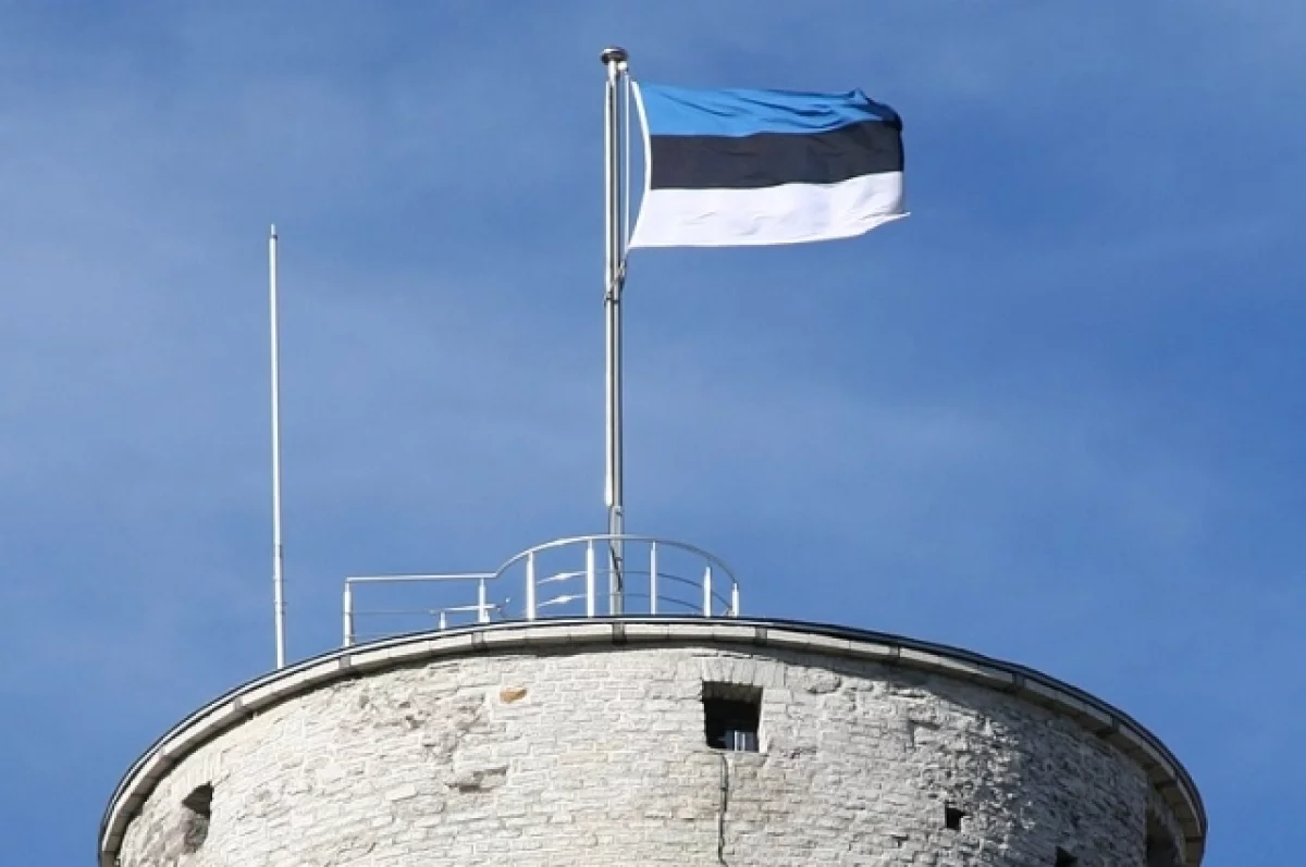 В Эстонии рассматривают возможность отправки войск на запад Украины