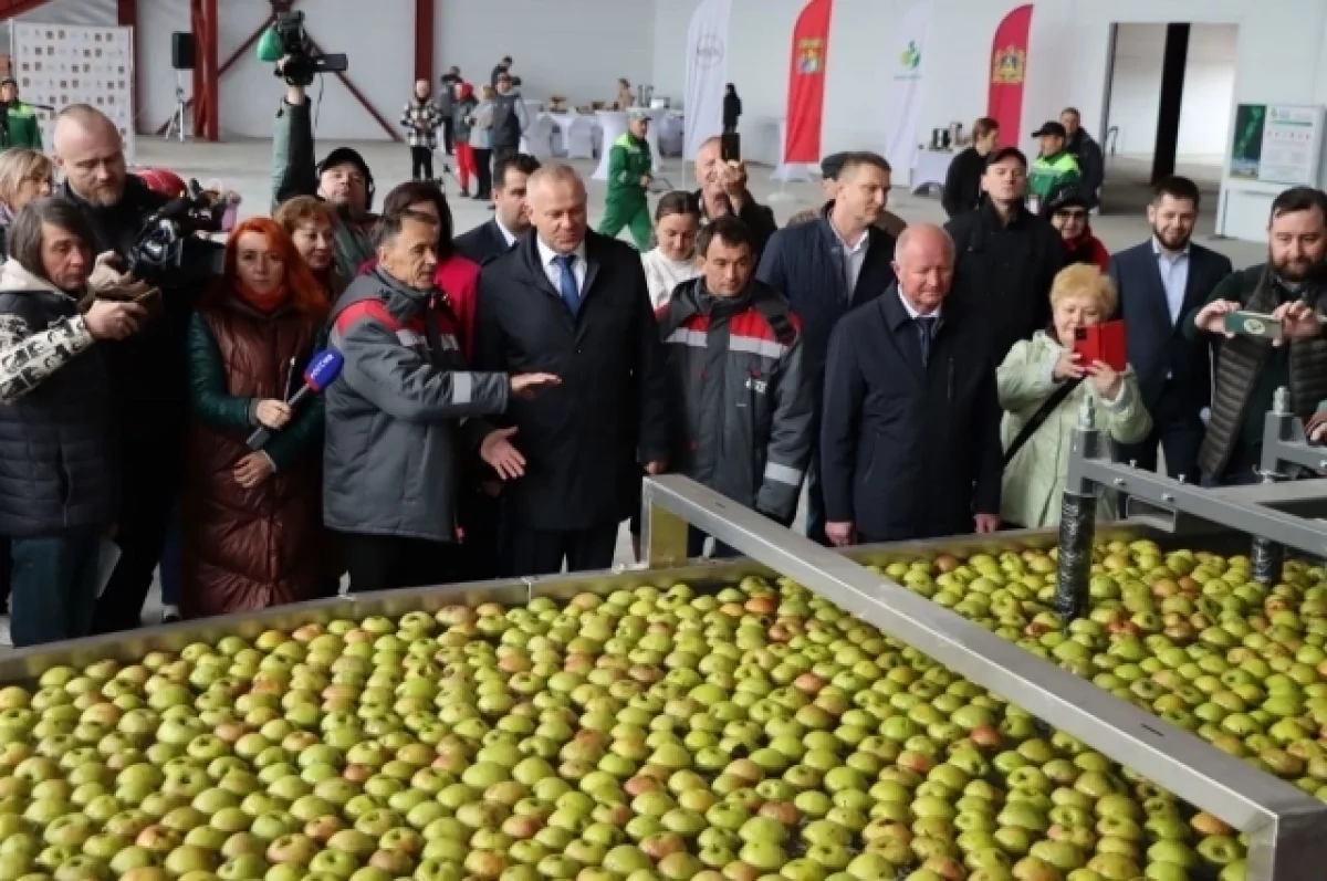 В Клетнянском районе Брянщины открыли плодохранилище на 5000 тонн