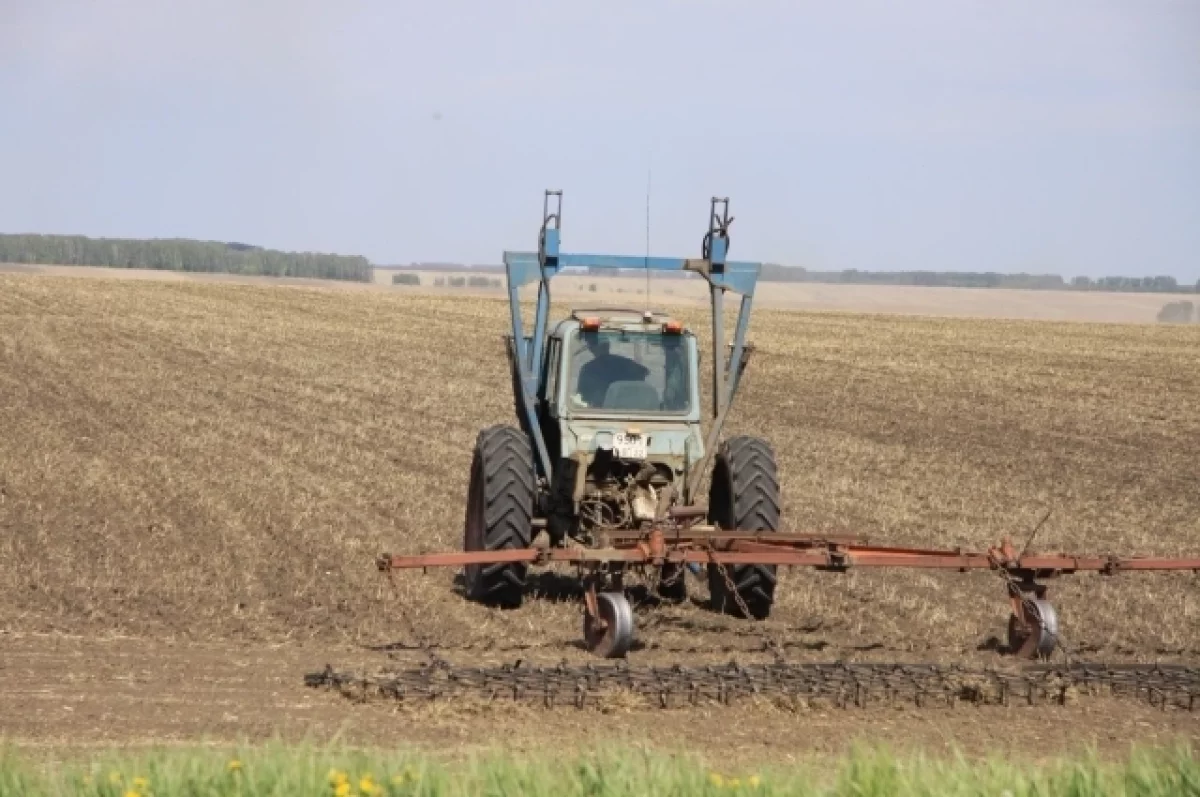 Россельхозбанк увеличил поддержку аграриев Алтая на 71%