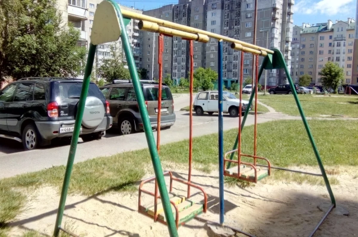 Жительница Барнаула грубо прогнала детей с качелей