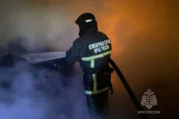 39 человек погибли на пожарах в Оренбуржье с начала 2024 года.