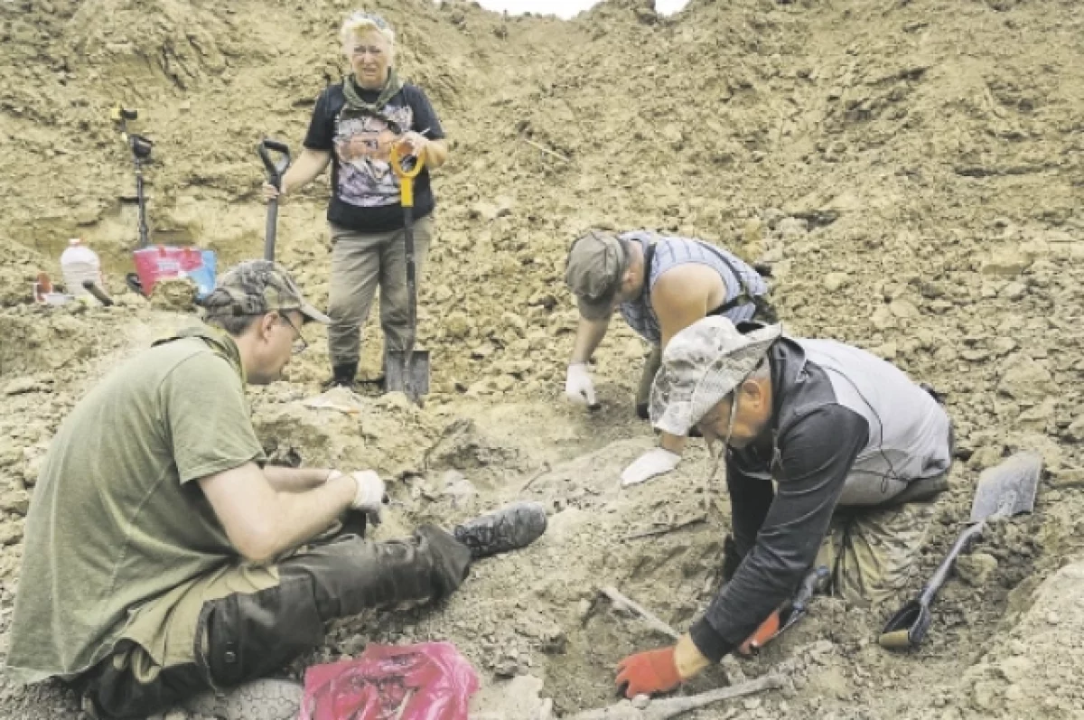 В донском регионе поисковики обнаружили останки трех красноармейцев