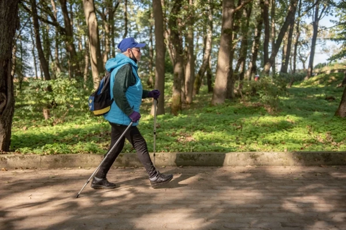 Кардиолог Бокерия назвал ходьбу лучшим методом оздоровления